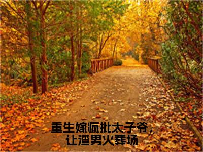 重生嫁疯批太子爷，让渣男火葬场小说在线阅读（楚宁君默）全文免费阅读大结局_重生嫁疯批太子爷，让渣男火葬场最新章节列表笔趣阁