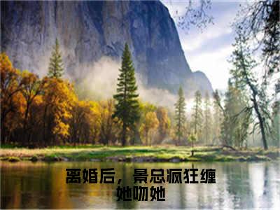 离婚后，景总疯狂缠她吻她全网首发最新小说，主角苏歌韵景凌寒全文在线免费阅读