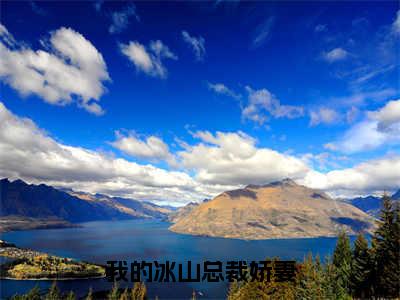 我的冰山总裁娇妻（林枫）全文免费阅读无弹窗大结局_（我的冰山总裁娇妻）已完结全集大结局小说