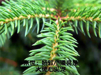 末世：娇软小漂亮是大佬心尖宠小说（谢聿白沈岁桉）全文免费阅读结局-末世：娇软小漂亮是大佬心尖宠强推全文阅读无弹窗