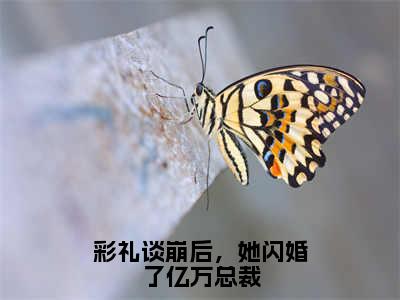 小说（彩礼谈崩后，她闪婚了亿万总裁）南荞秦川全文阅读-彩礼谈崩后，她闪婚了亿万总裁（南荞秦川）老书虫书荒推荐热点小说