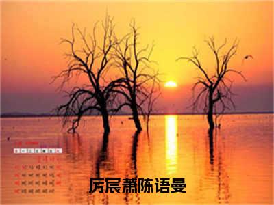 全章节完整《厉宸萧陈语曼》全文阅读《陈语曼厉宸萧》