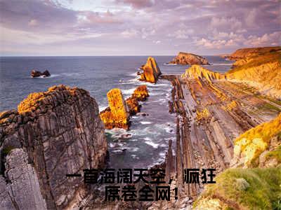 一首海阔天空，疯狂席卷全网！（林夜）小说免费无弹窗大结局-一首海阔天空，疯狂席卷全网！小说全文完整版阅读