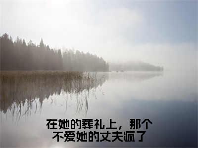 在她的葬礼上，那个不爱她的丈夫疯了（曲妙顾渝辰）笔趣阁免费小说_在她的葬礼上，那个不爱她的丈夫疯了笔趣阁全文阅读