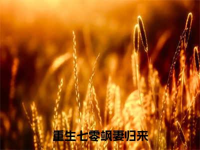 重生七零飒妻归来全文免费阅读无弹窗大结局_（吴秋月谭城完结）重生七零飒妻归来小说最新章节列表