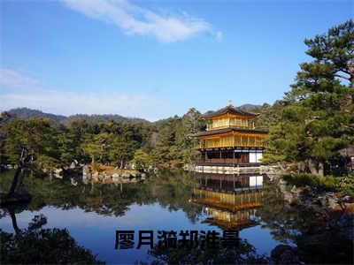 廖月漪郑淮景（廖月漪郑淮景）全文免费阅读无弹窗-廖月漪郑淮景小说完整版在线阅读