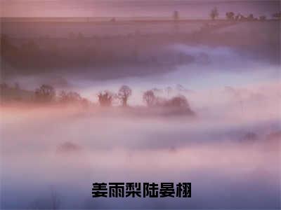 姜雨梨陆晏栩（陆晏栩姜雨梨）全本完整版免费阅读_（姜雨梨陆晏栩）陆晏栩姜雨梨全文章节目录_笔趣阁