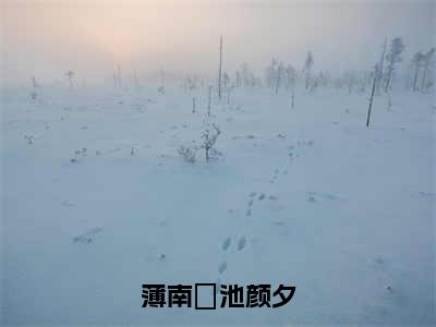 池颜夕薄南璟小说在线阅读（薄南璟池颜夕）全文免费阅读无弹窗大结局_池颜夕薄南璟小说免费最新章节列表