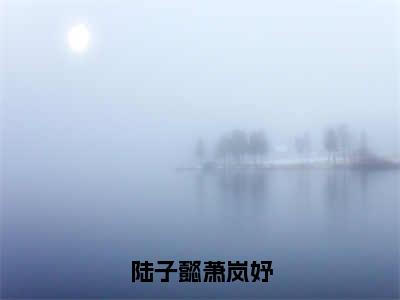 陆子懿萧岚妤小说（萧岚妤陆子懿）全文免费阅读无弹窗大结局_陆子懿萧岚妤最新章节在线阅读_笔趣阁