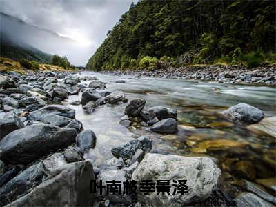 叶南枝季景泽小说最新章节阅读-叶南枝季景泽全文免费试读