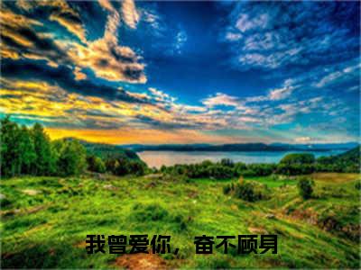 我曾爱你，奋不顾身（沈亦琛唐芷淇全章节完整版）免费阅读_（我曾爱你，奋不顾身）沈亦琛唐芷淇全文无删减免费阅读