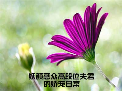 妖颜惑众高段位夫君的娇宠日常南荞完整版全文在线赏析-南荞全文在线阅读