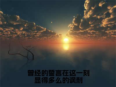 曾经的誓言在这一刻显得多么的讽刺（燕棠羿景昭）全文免费阅读无弹窗_（燕棠羿景昭）小说最新章节列表笔趣阁