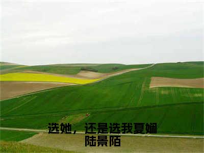 选她，还是选我夏娴陆景陌（夏娴陆景陌）全文免费阅读无弹窗大结局_（夏娴陆景陌）免费阅读无弹窗最新章节列表