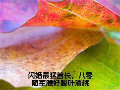 叶清桃顾景明全文免费阅读无弹窗-（叶清桃顾景明）闪婚最猛首长，八零随军腰好酸叶清桃小说全文在线阅读笔趣阁