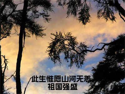 此生惟愿山河无恙，祖国强盛（陆淮安沈慕乔）小说免费阅读在线阅读_此生惟愿山河无恙，祖国强盛全文免费阅读_笔趣阁