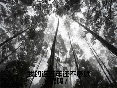 我的这五年还不够赎罪吗？（林忆雪裴凌琛全章节完整版）免费阅读_（林忆雪裴凌琛）我的这五年还不够赎罪吗？全文无删减免费阅读