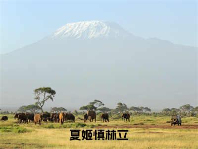 夏姬慎林立（林立夏姬慎）小说精彩免费内容_夏姬慎林立林立夏姬慎最新章节全文阅读