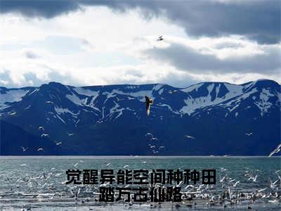 觉醒异能空间种种田踏万古仙路抖音热推小说全集无删减夏玉瑶最新章节列表免费阅读_（觉醒异能空间种种田踏万古仙路）最新章节列表笔趣阁