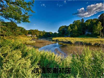 谢祁厌沈清栀小说全文免费阅读_谢祁厌沈清栀（沈清栀谢祁厌）最新章节列表笔趣阁