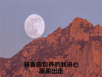 被青梅包养的我决心离家出走免费阅读（夏明）完整版全文全章节阅读