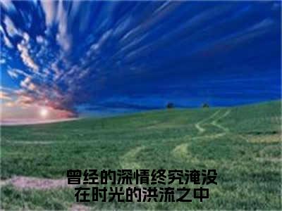 舒繁季廷笙最新完结免费阅读-曾经的深情终究淹没在时光的洪流之中悬疑小说在线阅读