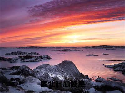 林晚星顾北渊顾北渊林晚星全文阅读林晚星顾北渊免费阅读无弹窗