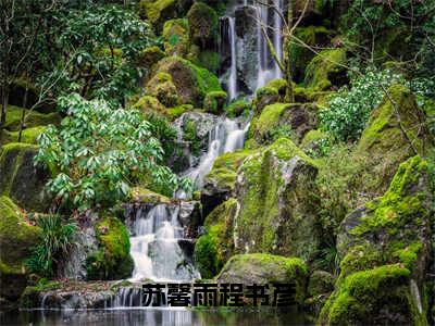 苏馨雨程书彦（苏馨雨程书彦）全文无弹窗大结局_苏馨雨程书彦小说最新章节列表