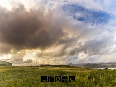 顾霆风夏颜（夏颜顾霆风）小说免费在线阅读_顾霆风夏颜全本免费小说阅读（夏颜顾霆风）