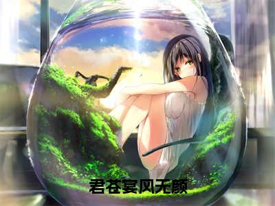 君苍宴风无颜（风无颜君苍宴）全文免费阅读无弹窗大结局_君苍宴风无颜全文免费阅读最新章节列表_笔趣阁