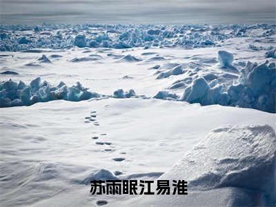 小说苏雨眠江易淮免费阅读-（江易淮苏雨眠）全文无弹窗阅读