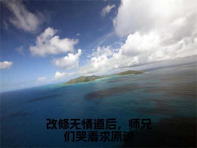 改修无情道后，师兄们哭着求原谅小说（虞昭）全文免费阅读无弹窗大结局_虞昭小说最新章节列表_笔趣阁