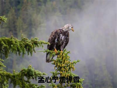 孟心宁沈怀霄（孟心宁沈怀霄）最新章节在线阅读抖音新书热荐孟心宁沈怀霄