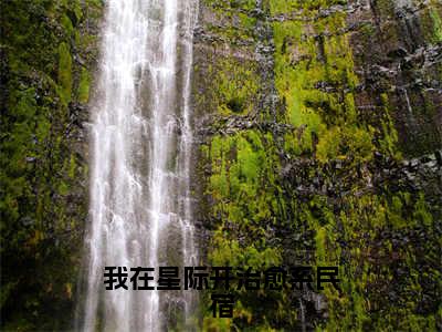 我在星际开治愈系民宿（顾樾淮花柚）全文免费阅读无弹窗大结局_（我在星际开治愈系民宿）顾樾淮花柚最新章节列表_笔趣阁