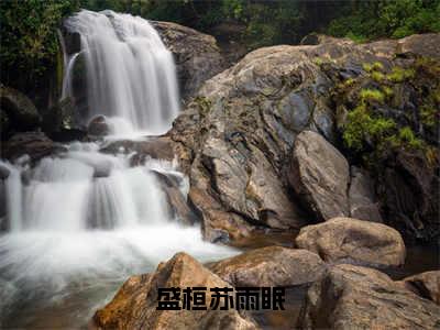 （苏雨眠盛桓）全文免费阅读无弹窗大结局_盛桓苏雨眠完整版最新阅读_笔趣阁（苏雨眠盛桓）