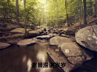 谢景深谢岁岁（谢景深谢岁岁）全文免费阅读无弹窗大结局_谢景深谢岁岁完整版小说阅读（谢景深谢岁岁）