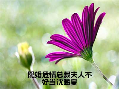 隐婚危情总裁夫人不好当沈曦夏（沈曦夏阎墨白）小说全文无删减版_隐婚危情总裁夫人不好当沈曦夏最新章节列表_笔趣阁（沈曦夏阎墨白）