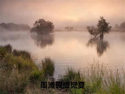 周淮砚虞觉夏小说免费（虞觉夏周淮砚）全文免费阅读无弹窗-周淮砚虞觉夏小说全文免费阅读-笔趣阁