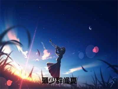 薄少辞闻夏（薄少辞闻夏小说全文）在线阅读无弹窗大结局-薄少辞闻夏全文无删减版阅读