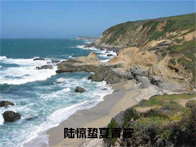 陆惊蛰夏青柠小说全文免费阅读无弹窗大结局_（陆惊蛰夏青柠）陆惊蛰夏青柠最新章节列表笔趣阁