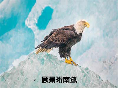 顾景珩南鸢免费阅读（顾景珩南鸢）完整版全文全章节阅读（顾景珩南鸢免费+番外）