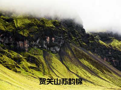 贺关山苏韵锦（苏韵锦贺关山）小说全文免费读无弹窗大结局_贺关山苏韵锦小说全文免费阅读最新章节列表笔趣阁