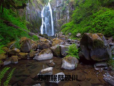 苏雨眠陆砚川（陆砚川苏雨眠）小说全文免费阅读正版无弹窗_（陆砚川苏雨眠）最新章节列表笔趣阁