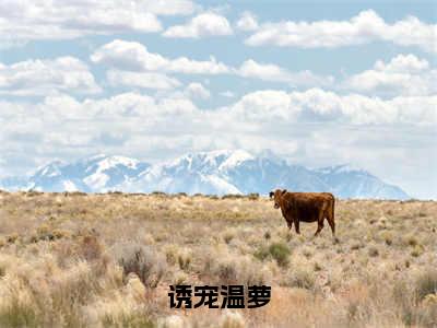 诱宠温萝小说全文免费阅读小说卫珩清温萝热门小说完整版阅读