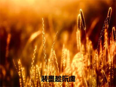 阮虞裴墨趁（裴墨趁阮虞）火热新书无弹窗大结局_（阮虞裴墨趁）裴墨趁阮虞最新章节列表_笔趣阁