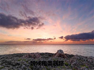 《魏浅橙姜晟路》魏浅橙姜晟路（热推新书）-抖音热推魏浅橙姜晟路无弹窗阅读