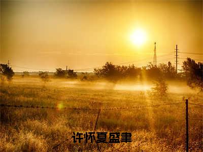 许怀夏盛聿（许怀夏盛聿）全文免费阅读无弹窗_（许怀夏盛聿）许怀夏盛聿最新章节列表