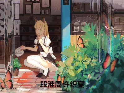 《段淮周许织夏》主角是段淮周许织夏全文免费阅读已完结