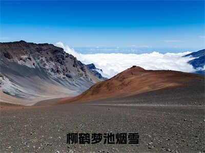 人气小说柳鹤梦池烟雪在线阅读-正版小说《柳鹤梦池烟雪》池烟雪柳鹤梦全文阅读