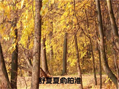 舒夏夏俞柏淮在线阅读（舒夏夏俞柏淮）全文免费阅读无弹窗大结局